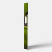 共通のcoqui、Eleutherodactylusのcoqui、El Case-Mate iPhoneケース (裏面 / 右)