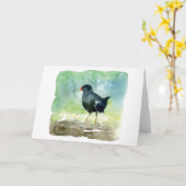 共通のmoorhen カード (黄色い花)