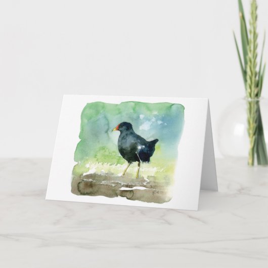 共通のmoorhen カード (正面)