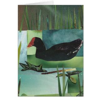 共通のMoorhen (共通のGallinule)