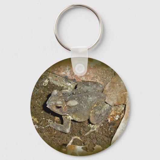 共通のToad調整アイテム キーホルダー (正面)