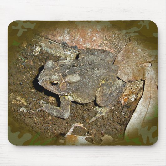 共通のToad調整アイテム マウスパッド (正面)