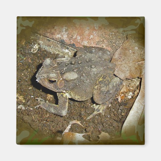 共通のToad調整アイテム マグネット (正面)