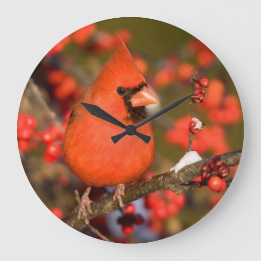 共通のWinterberryの北の（鳥）ショウジョウコウカンチョウ ラージ壁時計 (正面)