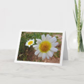 共通デイジーポートレート カード (正面)