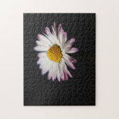 共通デイジー11x14 252pc jpcna ジグソーパズル (縦)