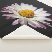 共通デイジーsbcnm シェルパブランケット (3/4)