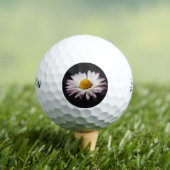 共通デイジーssf gbcna ゴルフボール (インサイチュ 木)