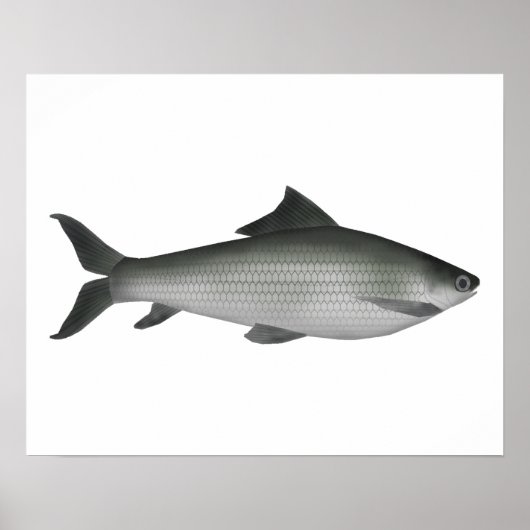 共通ラベオ ポスター (正面)