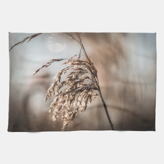 共通リード自然写真 キッチンタオル (横)