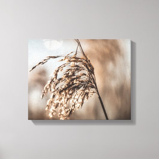 共通リード自然写真 キャンバスプリント (正面)