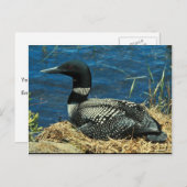 共通ルーン ポストカード (正面/裏面)