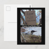 共通枠の入れ子はがき ポストカード (正面/裏面)