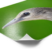 共通/ヨーロッパスターリング フォトプリント            (角)