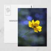 共食い葉書 ポストカード (正面/裏面)