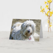 共鳴した犬はペット損失上の苦痛を楽にするのを救済します カード (黄色い花)