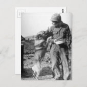 兵士と彼のドイツの羊飼い第二次世界大戦 ポストカード (正面/裏面)