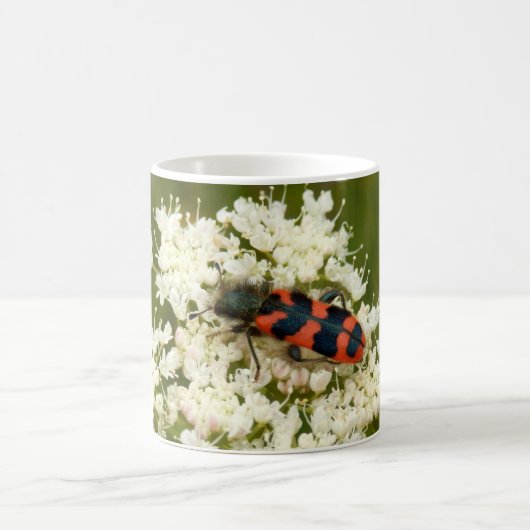 兵士または市松模様に甲虫の虫のマグカップ コーヒーマグカップ (中央)