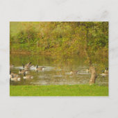 兵士感謝していだ。 ポストカード (正面)