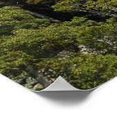 兵庫県姫路城姫路城 ポスター (角)