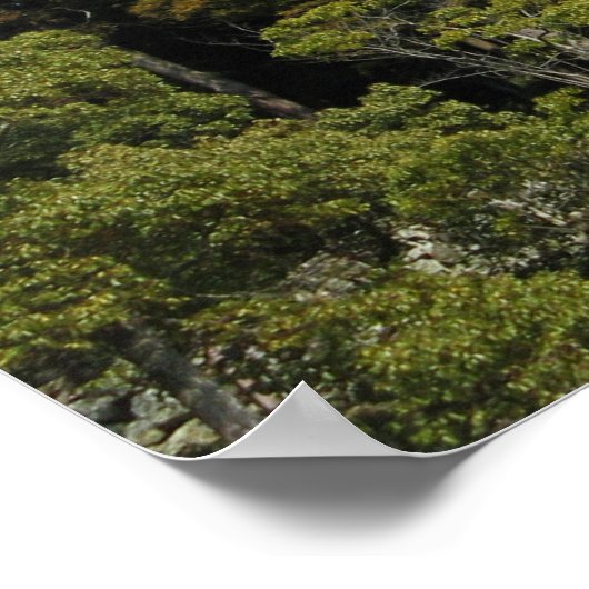 兵庫県姫路城姫路城 ポスター (角)