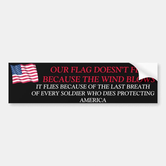 兵感謝してい士 バンパーステッカー (正面)