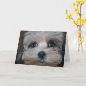 具現される甘さ カード (黄色い花)