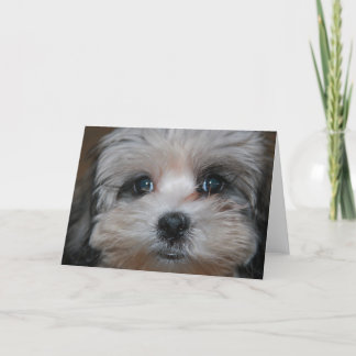 具現される甘さ カード