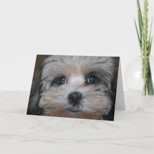 具現される甘さ カード (正面)