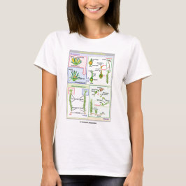 典型的なコケ(センタイ類)のライフサイクル Tシャツ
