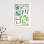 典型的なコケ（苔類）のライフサイクル ポスター (キッチン)