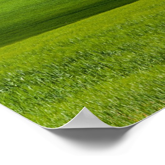 典型的なトスカーナの風景 ポスター (角)