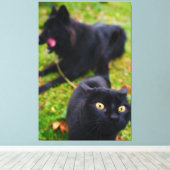 典型的なネコと犬の動き キャンバスプリント (インサイチュ (ウッドフロア))