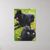 典型的なネコと犬の動き キャンバスプリント (正面)