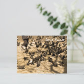 典型的なパリの風景 ポストカード (スタンド正面)