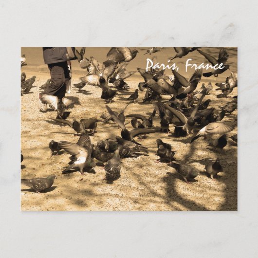 典型的なパリの風景 ポストカード (正面)