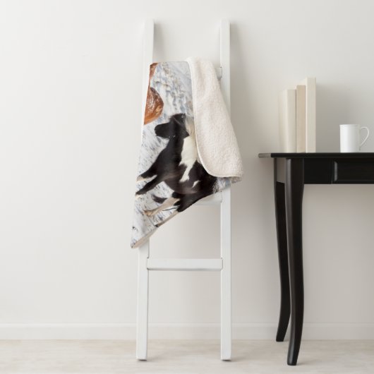 典型的な冬のコートを着たアイスランドの馬 シェルパブランケット (インサイチュ)