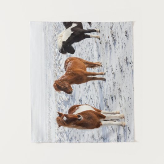 典型的な冬のコートを着たアイスランドの馬 タペストリー (正面)