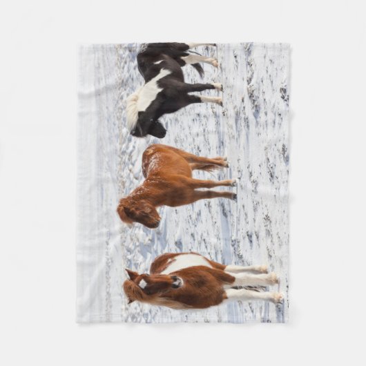 典型的な冬のコートを着たアイスランドの馬 フリースブランケット (正面)