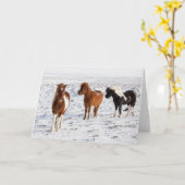 典型的な冬毛のアイスランド産馬 カード (黄色い花)