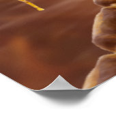 典型的な有髄脊椎動物の運動ニューロン ポスター (角)