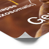 典型的な有髄脊椎動物の運動ニューロン ポスター (角)