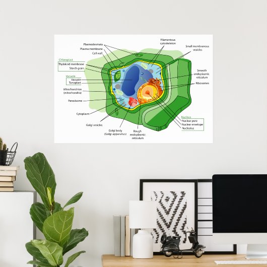 典型的な植物細胞構造の図 ポスター (ホームオフィス)