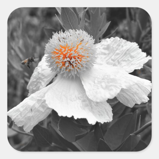 内の火 スクエアシール (正面)