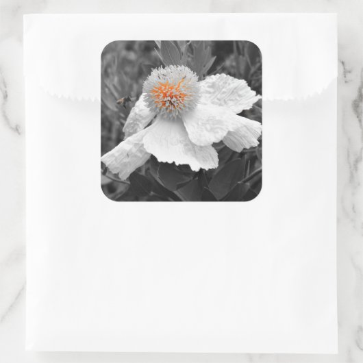 内の火 スクエアシール (バッグ)