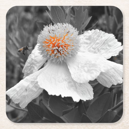 内の火 スクエアペーパーコースター (正面)