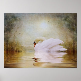 内の聖域 ポスター