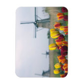 内の運河に沿って風車とチューリップ マグネット (縦)