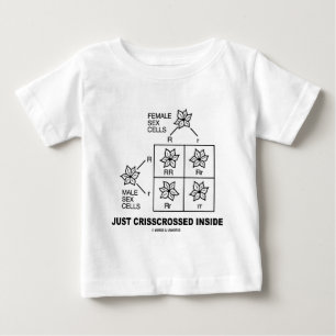 内側にクリスクを置く(パネット正方形の姿勢) ベビーTシャツ