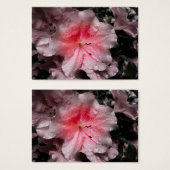 内側のグローブックマーク (正面&裏面)